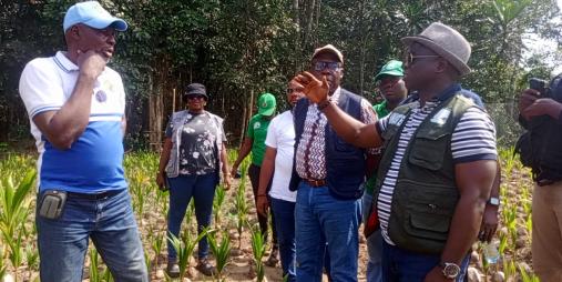 Government Launches Fully Funded Coconut Seed Garden Initiative in Four Southeastern Counties