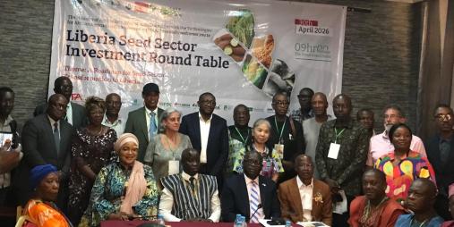 Liberia Calls for Strategic Investment in Seed Sector to Drive Food Security and Agricultural Transformation